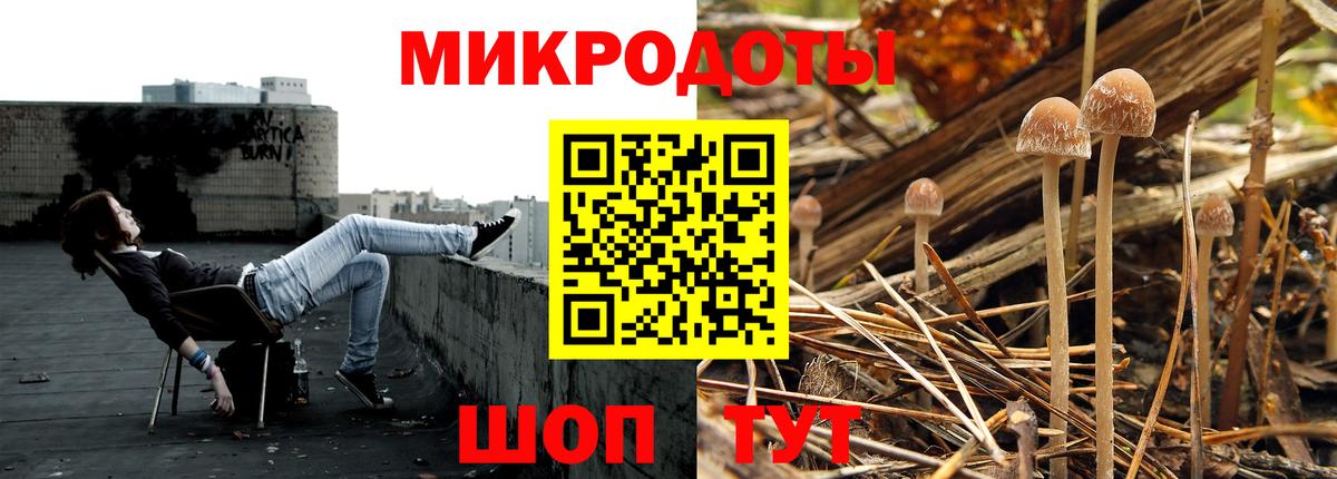 Серпухов  Псилоцибиновые грибы ЛСД  где купить наркоту  Вход с VPN  Псилоцибиновые грибы GOLDEN TEACHER 